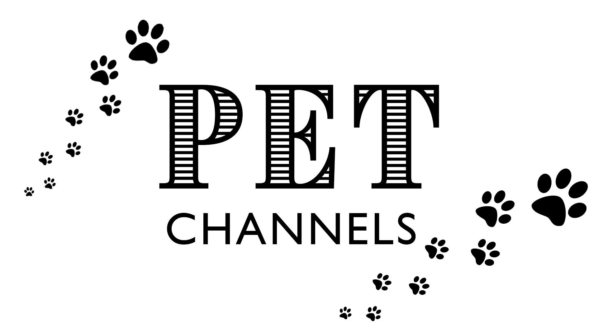 Pets Channels thumbnail