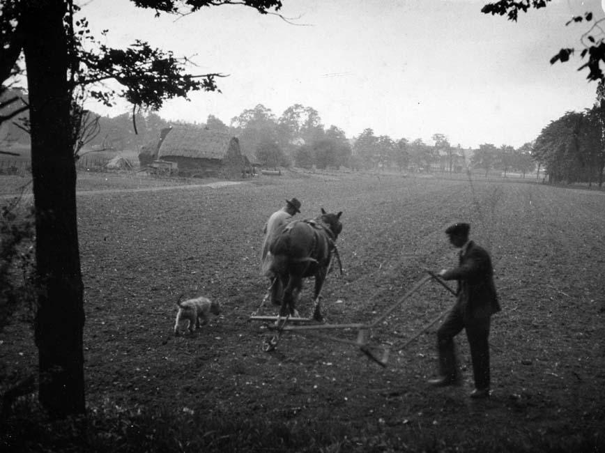Black and white photograph of a field with two men and a horse hand-ploughing a field. A dog also walks by their side. In the distance you can see farm buildings. And trees.
